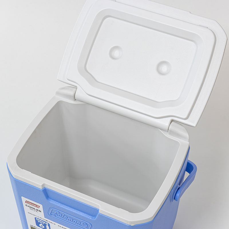 ミニクーラーボックス テイク9 8.3L デイドリーム