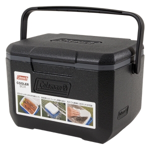 小型クーラーボックス テイク6 4.7L ジェットブラック