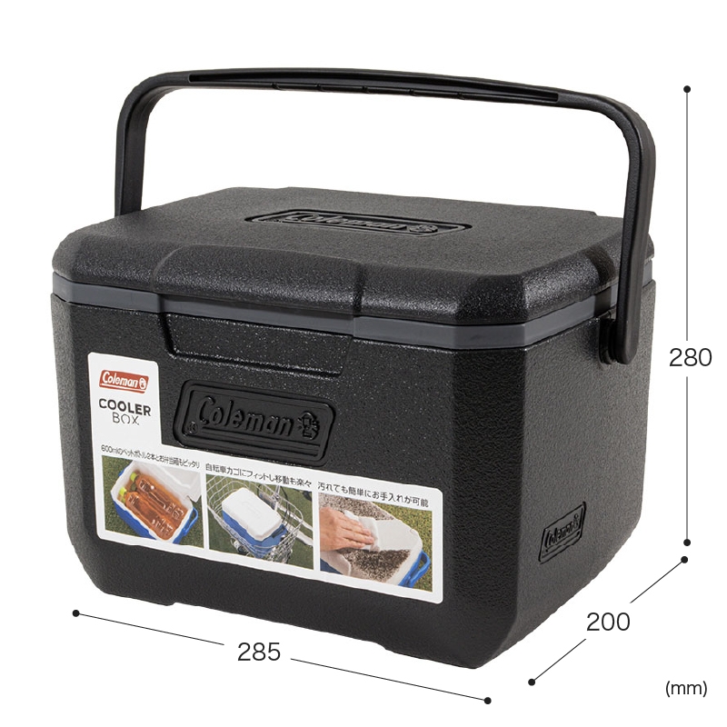 小型クーラーボックス テイク6 4.7L ジェットブラック