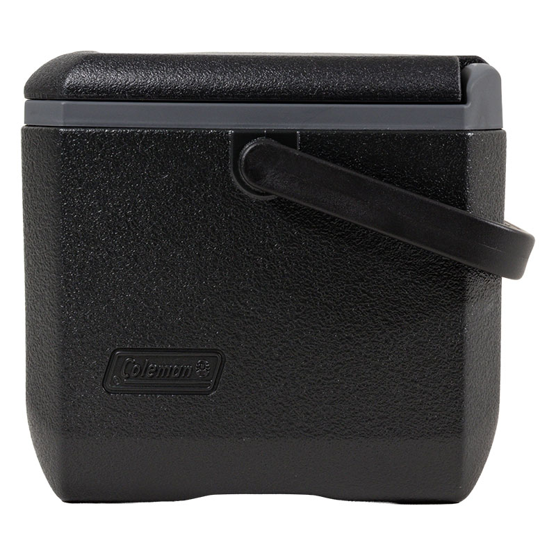 小型クーラーボックス テイク6 4.7L ジェットブラック