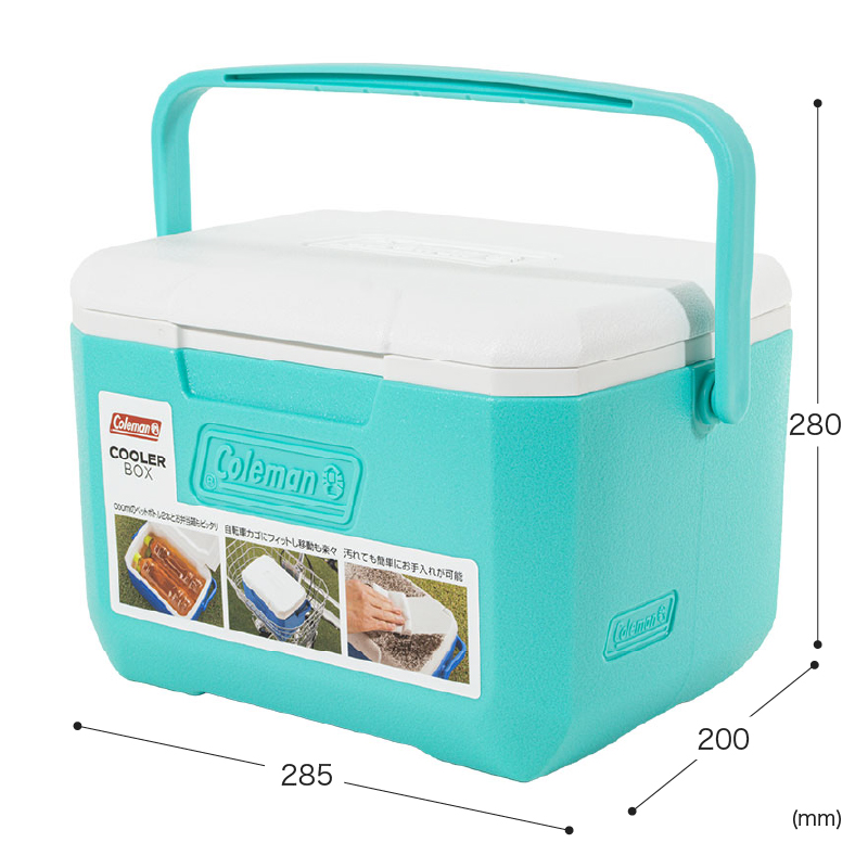 小型クーラーボックス テイク6 4.7L ミント