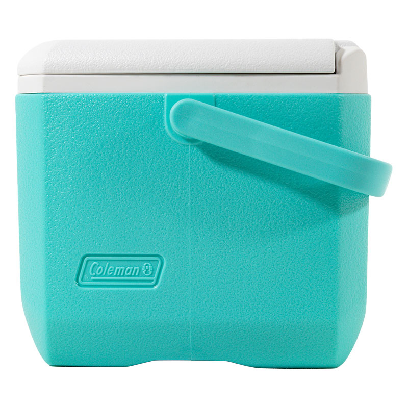 小型クーラーボックス テイク6 4.7L ミント