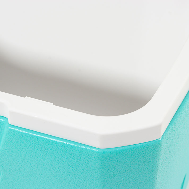 小型クーラーボックス テイク6 4.7L ミント