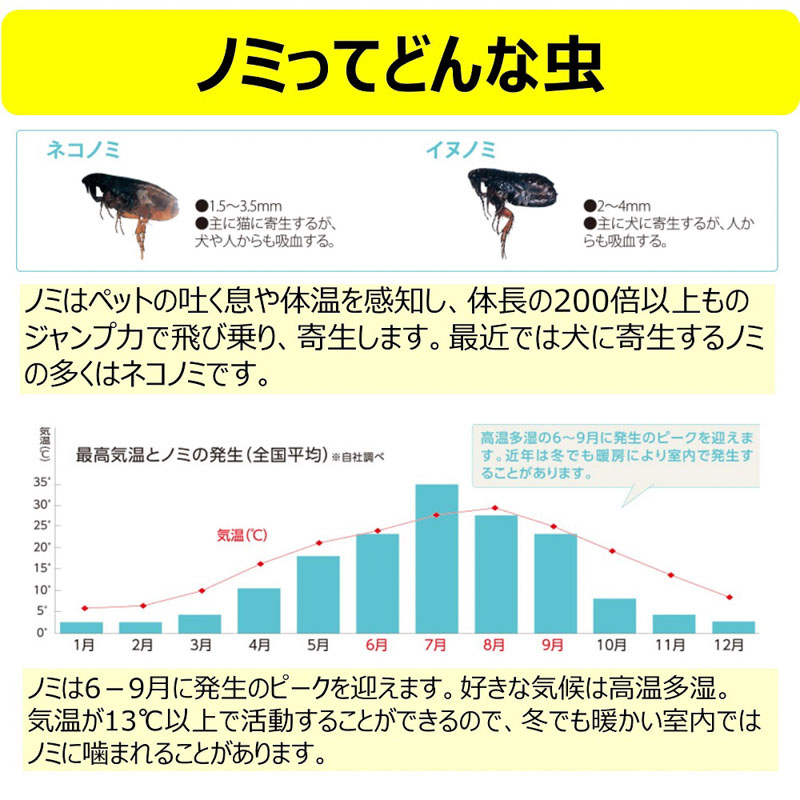 電子ノミとりホイホイ