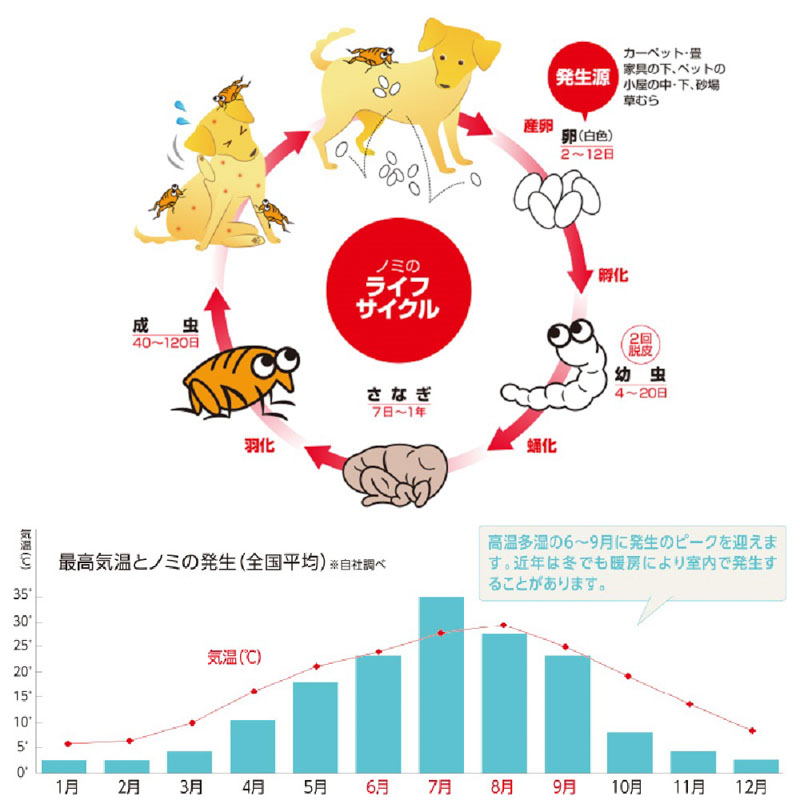 薬用ショットオン 小型犬用 1本入り 0.8g