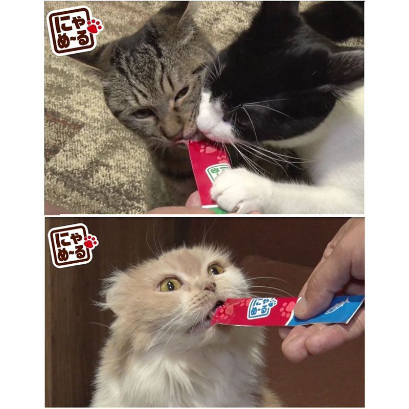 ねこモテ にゃめーる まぐろ 12g×5本入