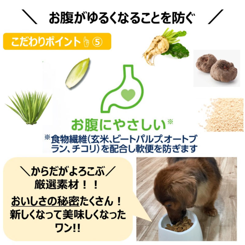 ファーストチョイス ChoiceS 高齢犬10歳以上 チキン 2.2kg(550g×4袋)