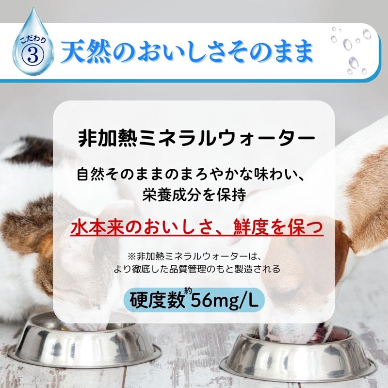 ペットの天然水Vウォーター 500ml