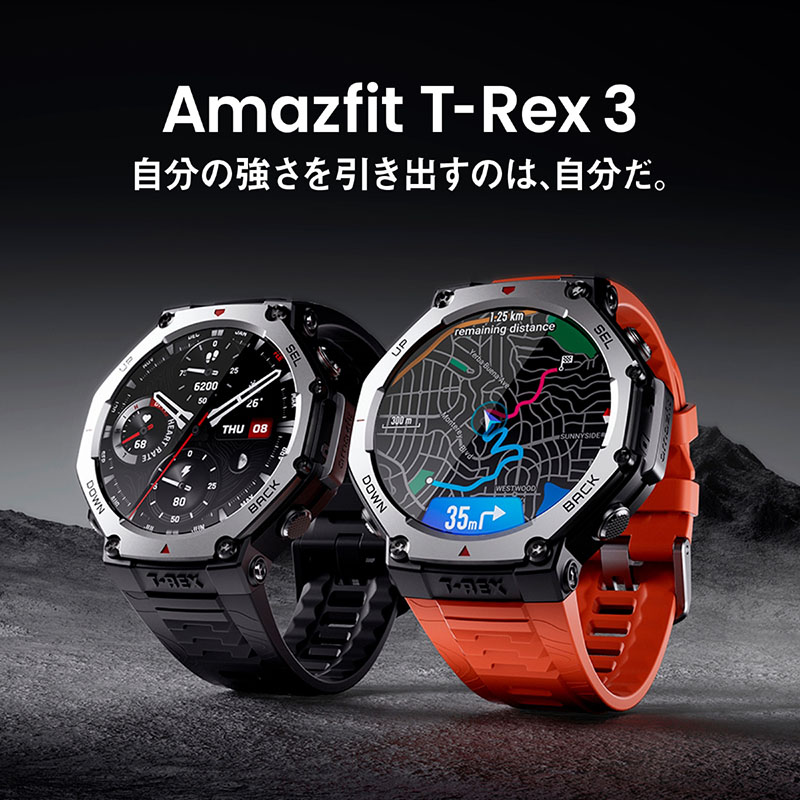T－Rex 3 ヘイズグレー SP170069-C221 48cm