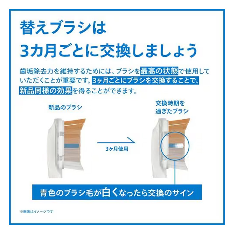 替え歯ブラシ(ホワイトプラスブラシヘッドレギュラー) HX606367