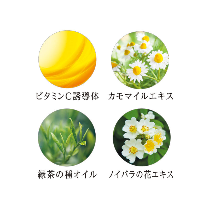 クッション ファンデーション(ネオカバー)レフィルNo.21明るい肌色 15g