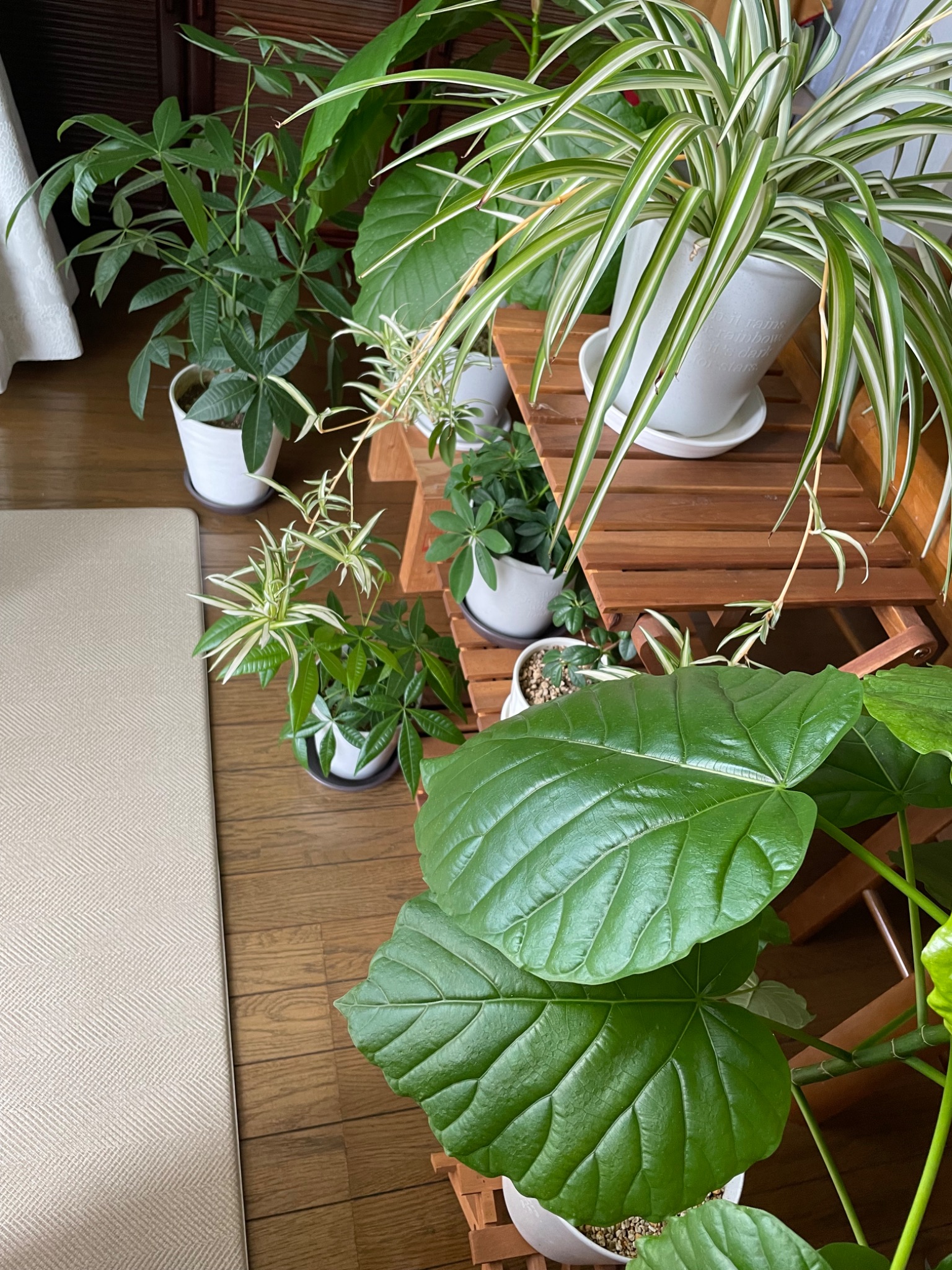 maruta専用 ダイヤル 安全靴 作業靴｜マンダムDIAL EZ＃969【丸五公式