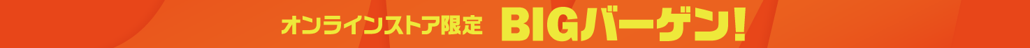 BIGバーゲン2505