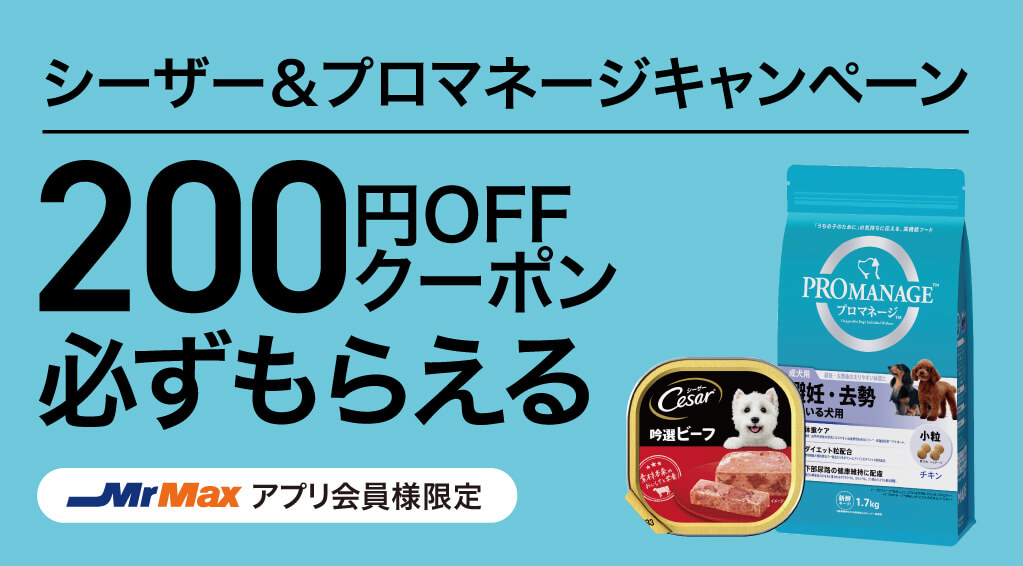 シーザー&プロマネージキャンペーン