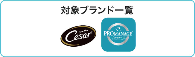25_6月メーカーキャンペーン_S&P_ブランド一覧.jpg