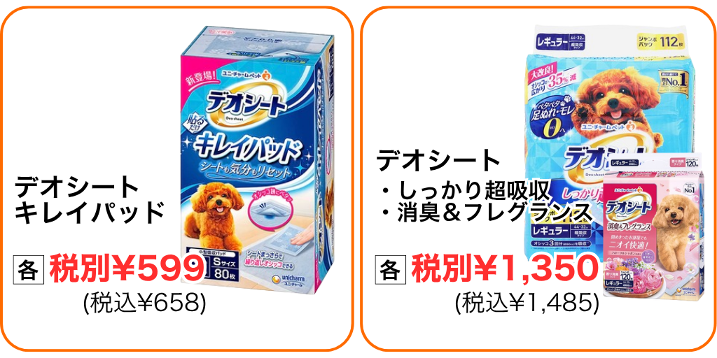 最強クーポン⑥.png