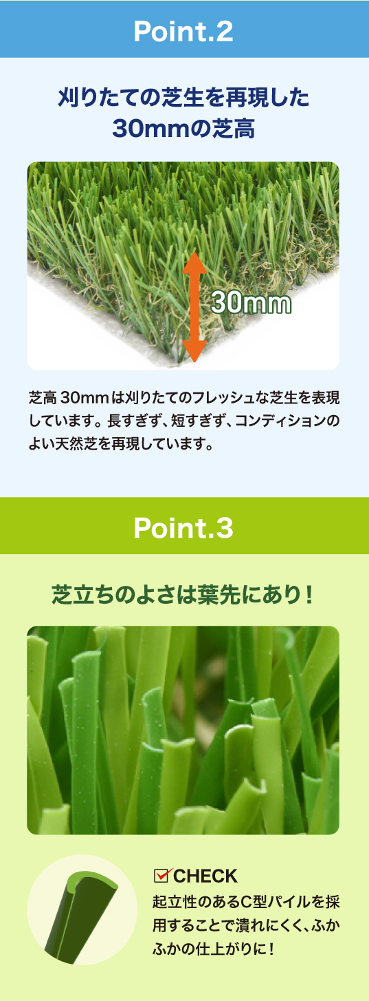 人工芝06